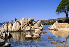 DO:利物浦有意的前锋只有伊萨克,他们仍然相信萨拉赫会续约.